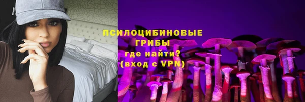 mdpv Инта