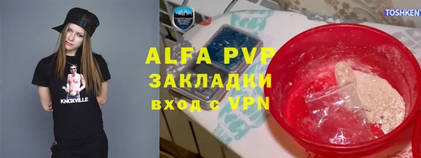 ПСИЛОЦИБИНОВЫЕ ГРИБЫ Иннополис
