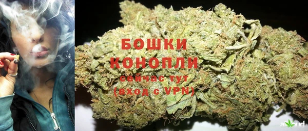ПСИЛОЦИБИНОВЫЕ ГРИБЫ Иннополис