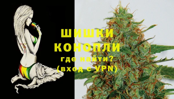 бошки Каменногорск