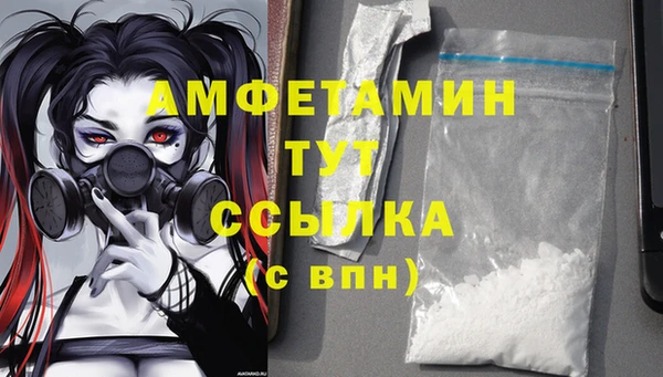 ПСИЛОЦИБИНОВЫЕ ГРИБЫ Иннополис