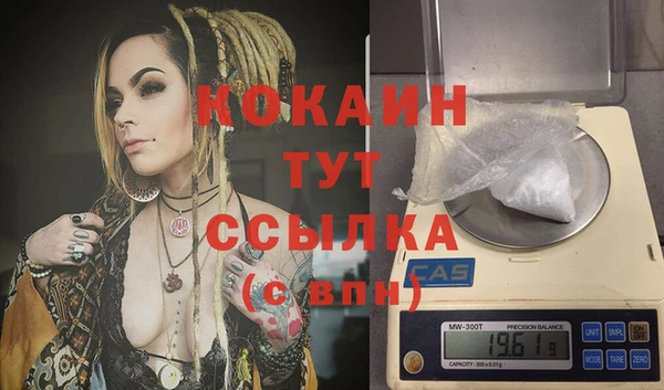 mdpv Инта