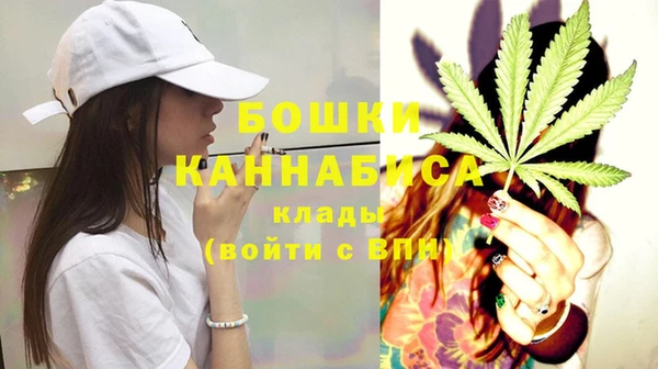 ПСИЛОЦИБИНОВЫЕ ГРИБЫ Иннополис