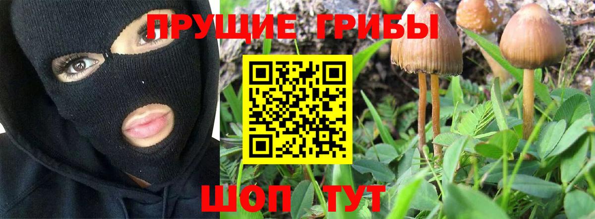 Галлюциногенные грибы Magic Shrooms  Вход с VPN  Прокопьевск 