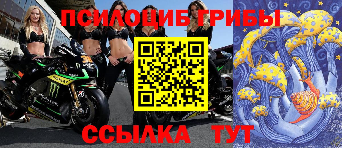 Галлюциногенные грибы Psilocybe  Галлюциногенные грибы прущие грибы  Прокопьевск 