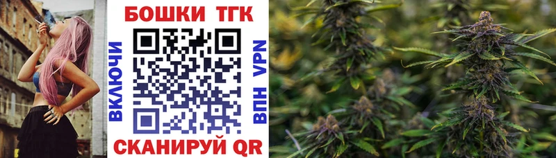 наркота  Прокопьевск  Конопля сатива 